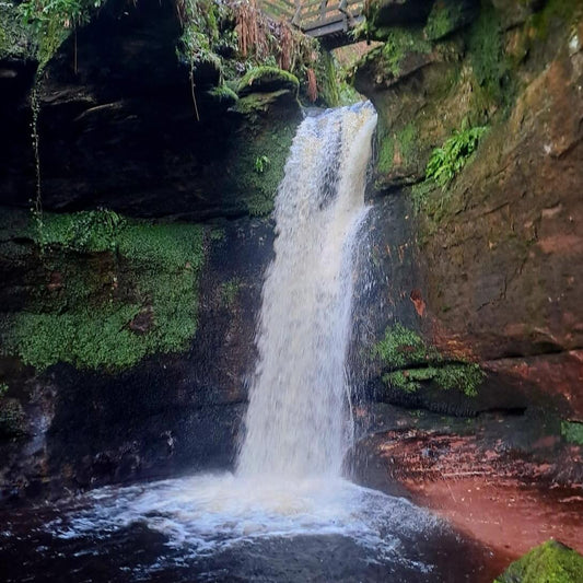 Castles Swimventure | Guided Wild Swimming Adventure | Swim the Lochs