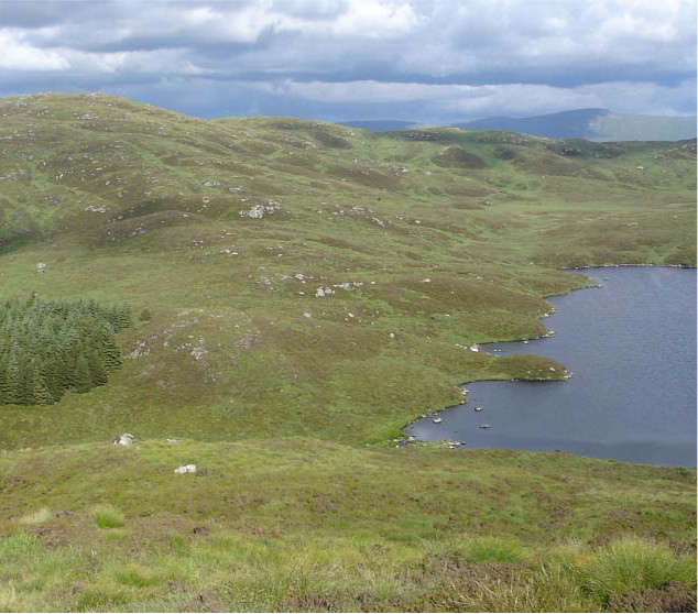 Cornish Hill Swimventure | Loch Swim & Hill Views | Swim the Lochs