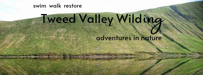 Moffat Wild Energy Swimventure