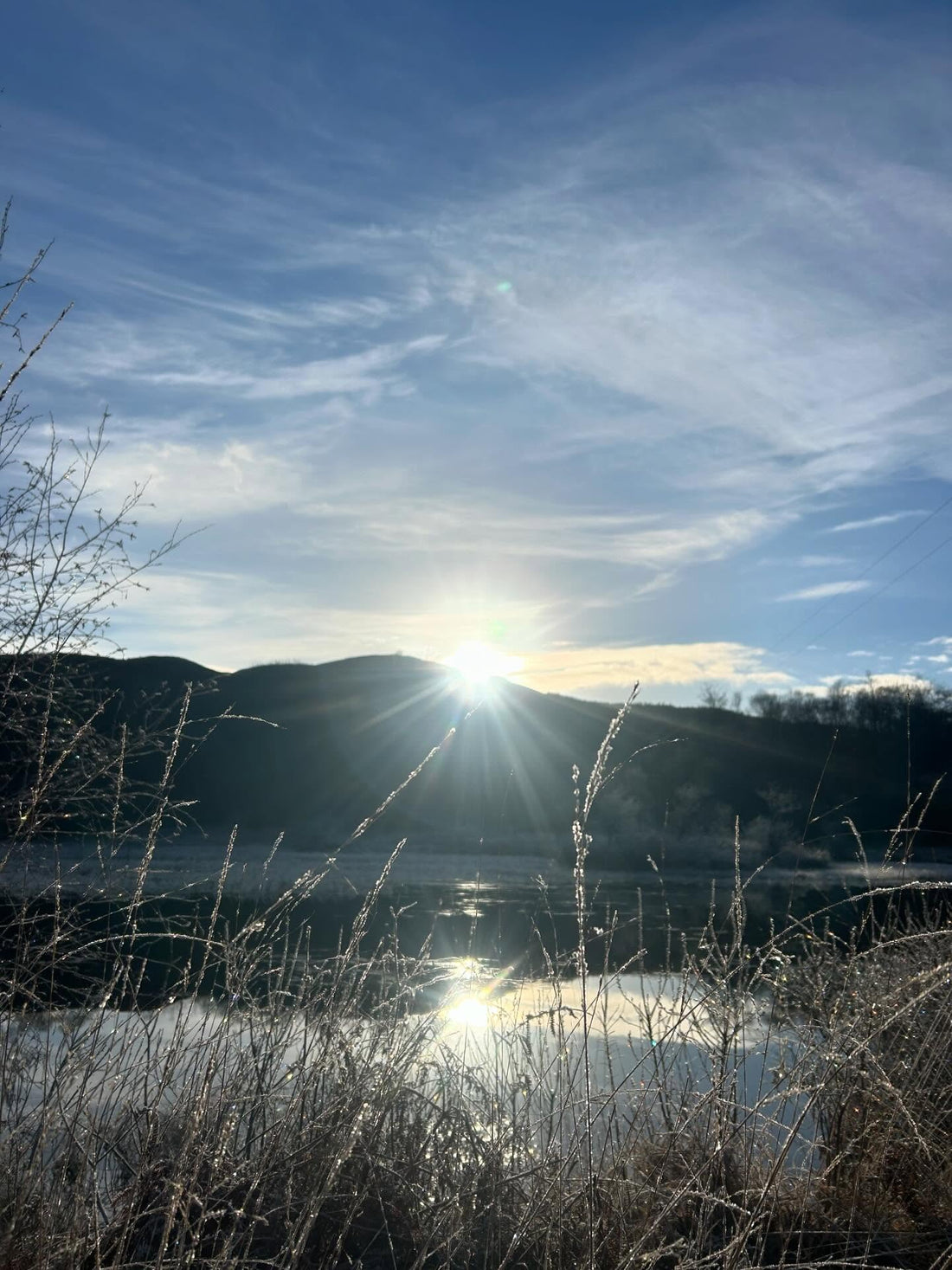 January Struggles, Menopause & Wintering | Swim the Lochs