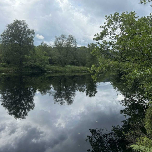 Gentle River Reset - Friday 14th August