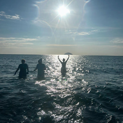 Dip & Chips | Girvan