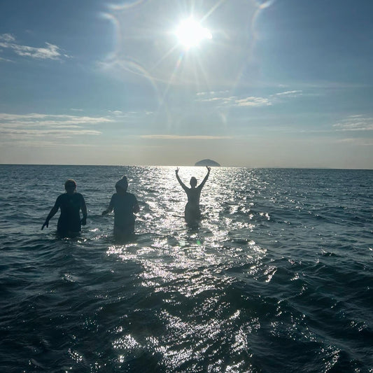 Dip & Chips | Girvan