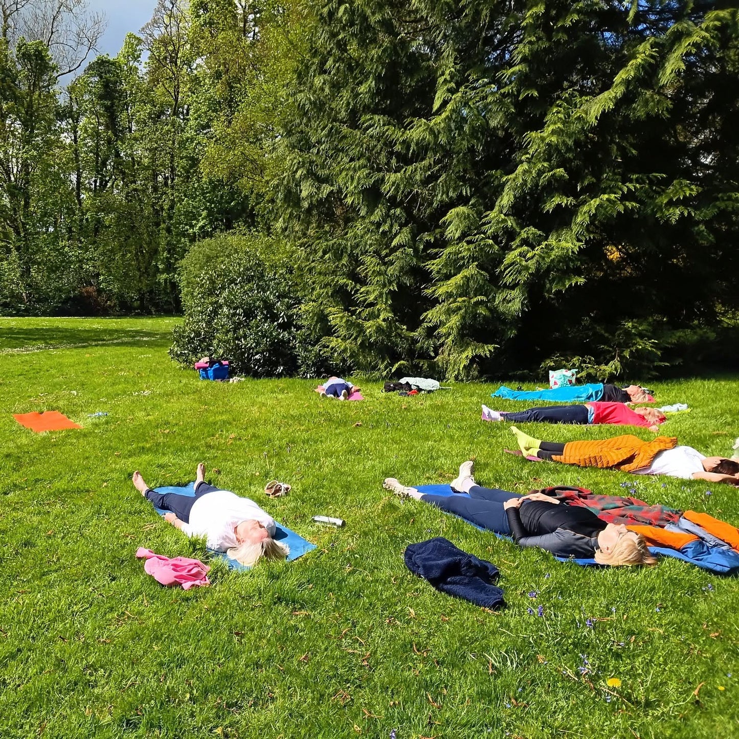 Outdoor Garden Yoga & Sea Swim: A Coastal Wellness Experience