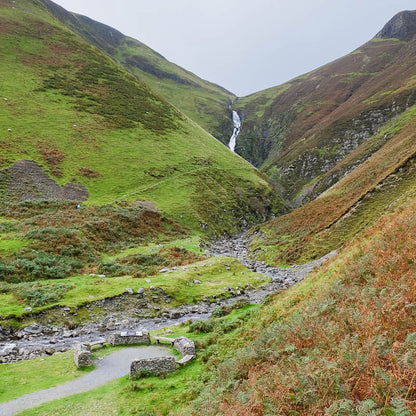 Moffat Wild Energy Swimventure