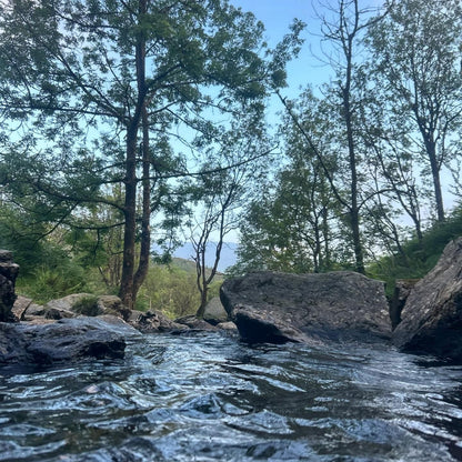 Waterfall Dook Experience | Saturday 11th July