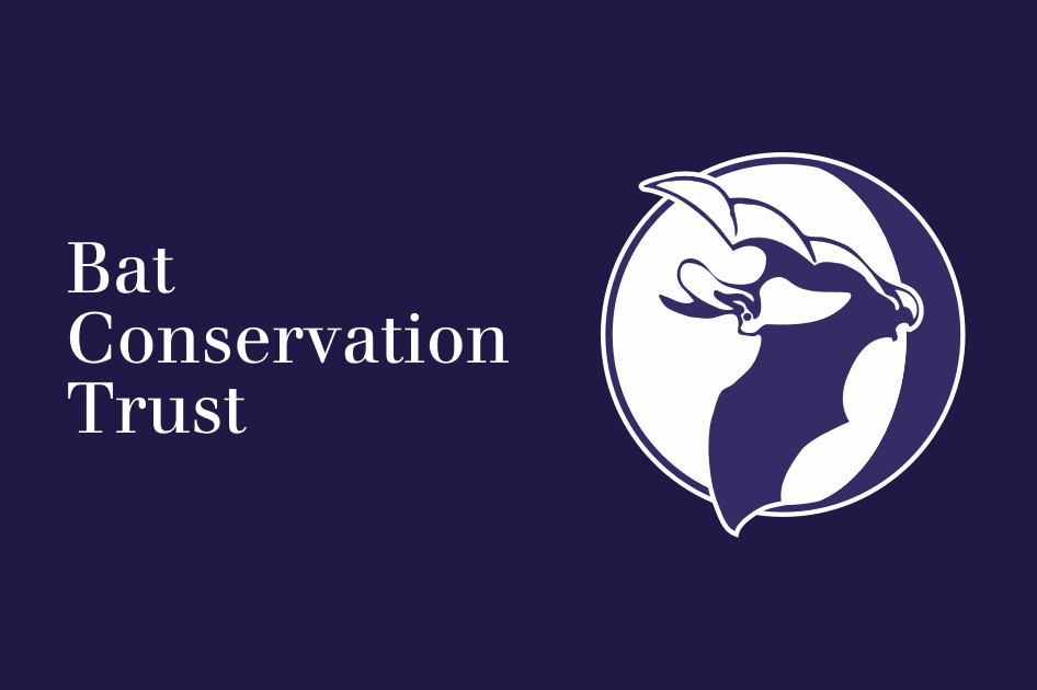 Sunset Loch Swim & Bat Walk | Friday 9th October | Dark Skies Festival